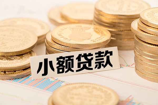 东莞信用小额贷款当天放款
